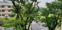Blk 429 Woodlands Street 41 (Woodlands), HDB 4 Rooms #173789712